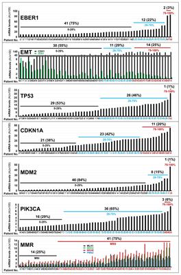 The potential of retinoic acid receptors as prognostic biomarkers and therapeutic targets in gastric cancer